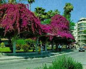 Ataturk Caddesi, Mersin