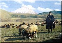 Ağrı Mountain